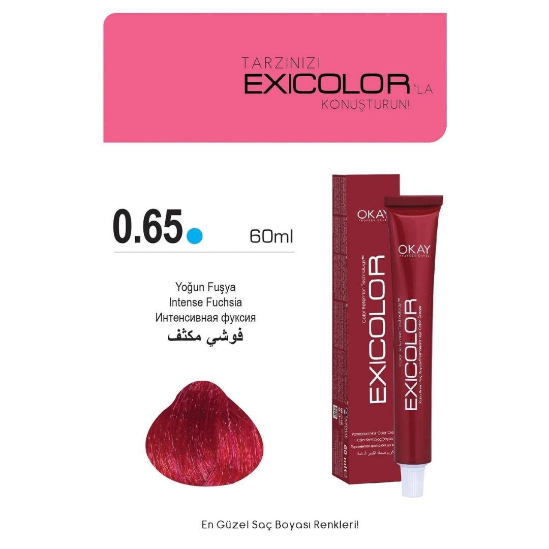 Exıcolor Tüp Boya 0-65