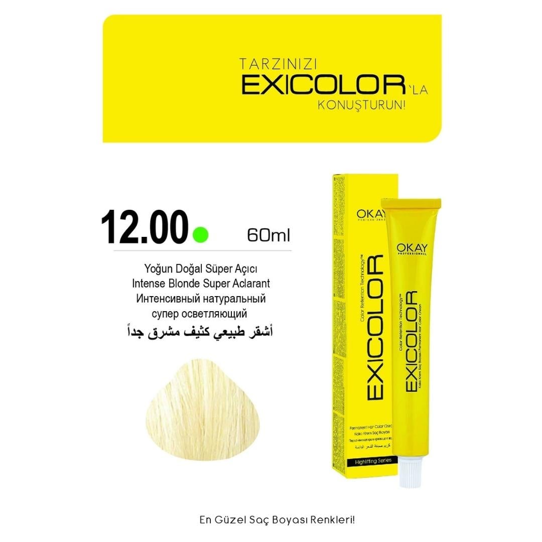 Exıcolor Tüp Boya 12-00