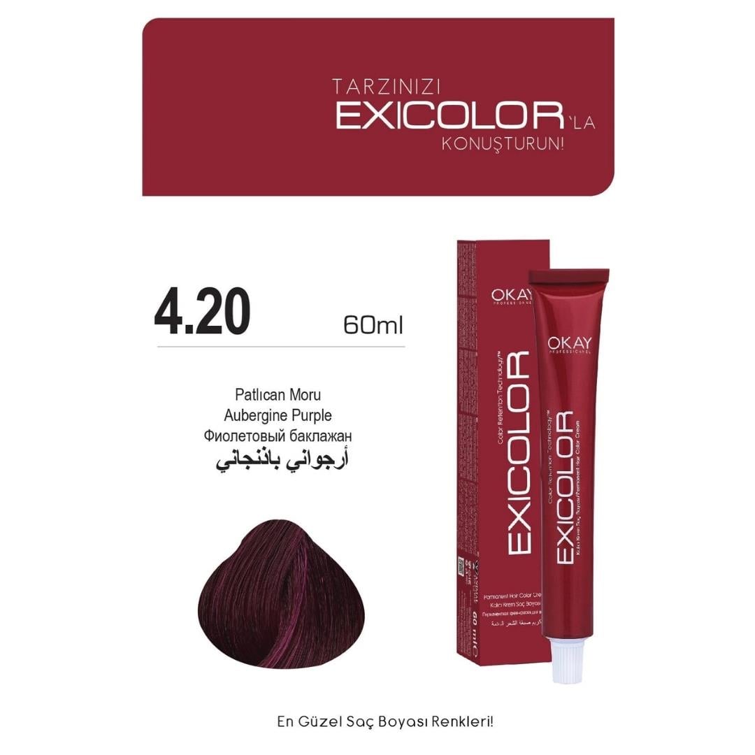 Exıcolor Tüp Boya 4-20