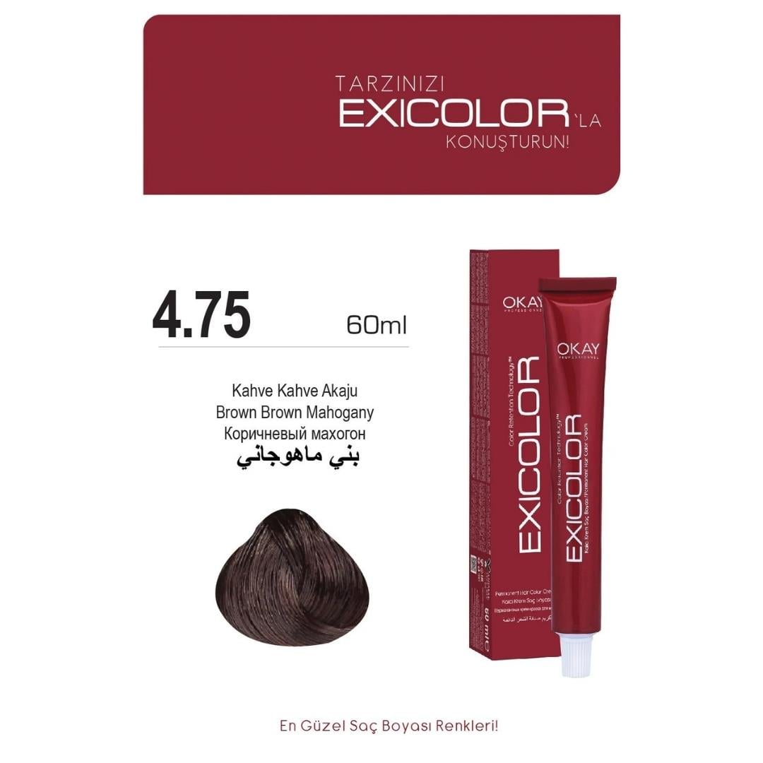 Exıcolor Tüp Boya 4-75