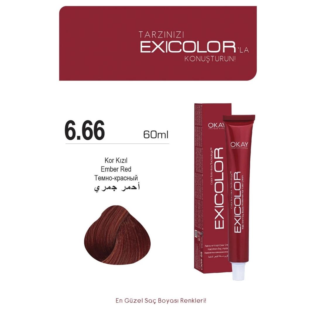 Exıcolor Tüp Boya 6-66