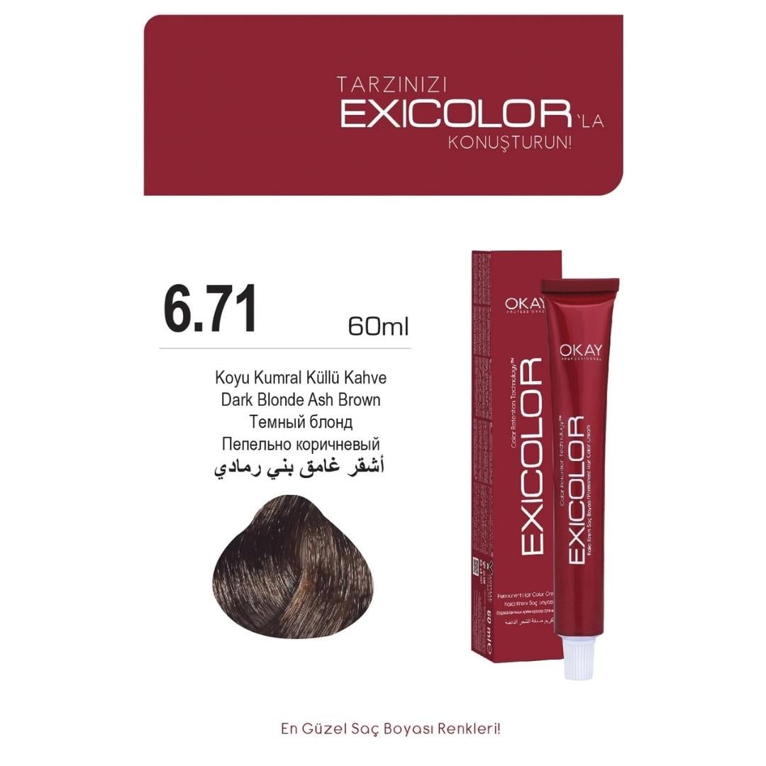 Exıcolor Tüp Boya 6-71