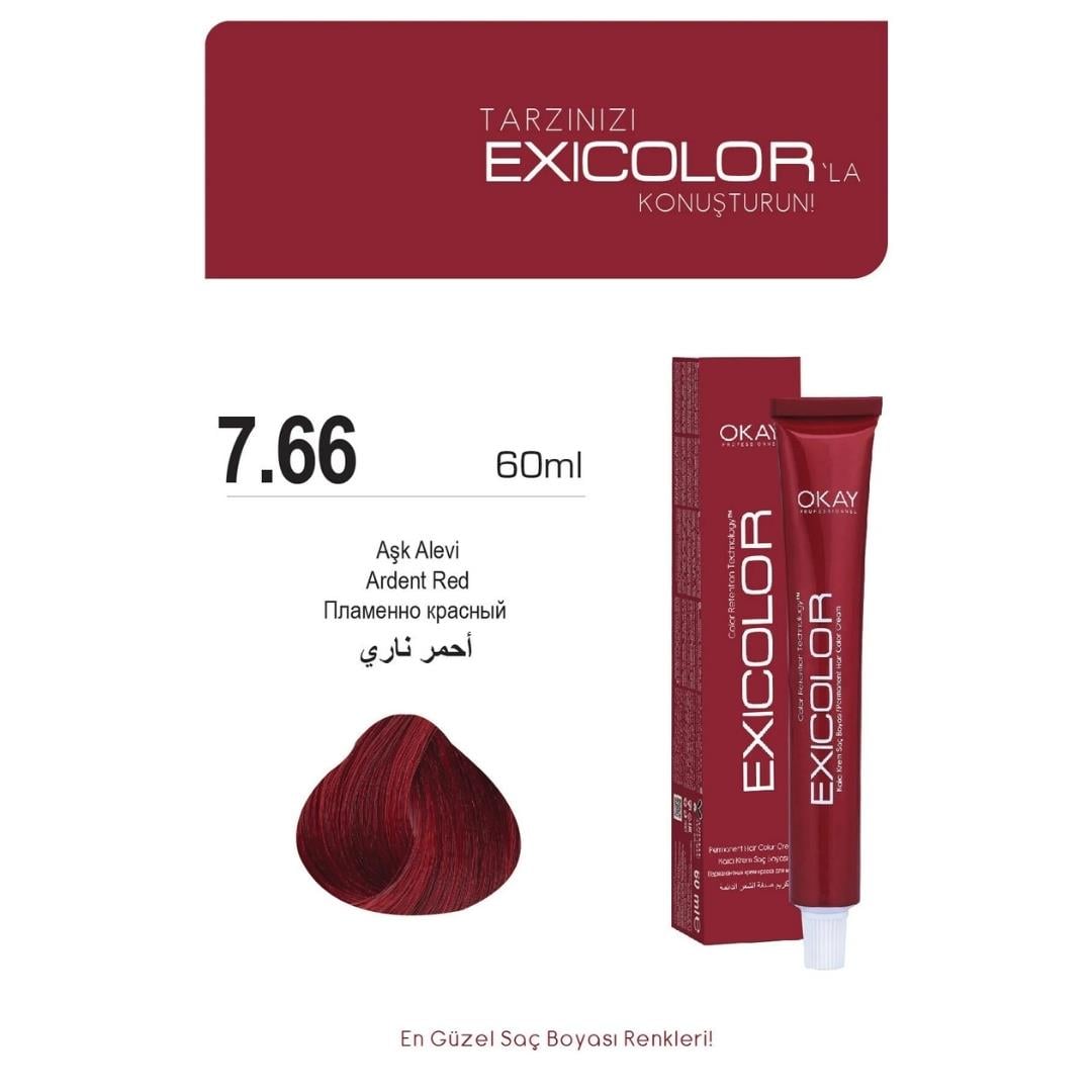 Exıcolor Tüp Boya 7-66