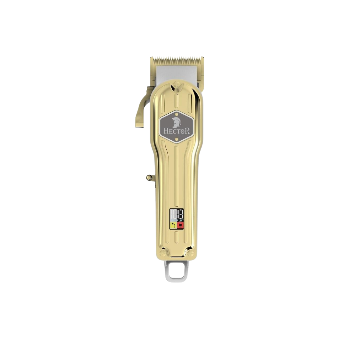 Hector Troy K2 Gold Motif Ekranlı (K2GME)