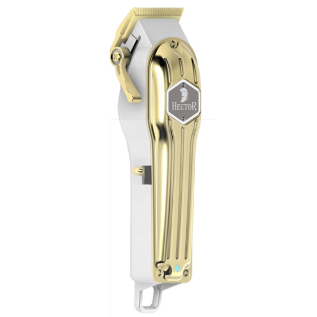 Hector Troy K2 Gold Motif (K2GM)