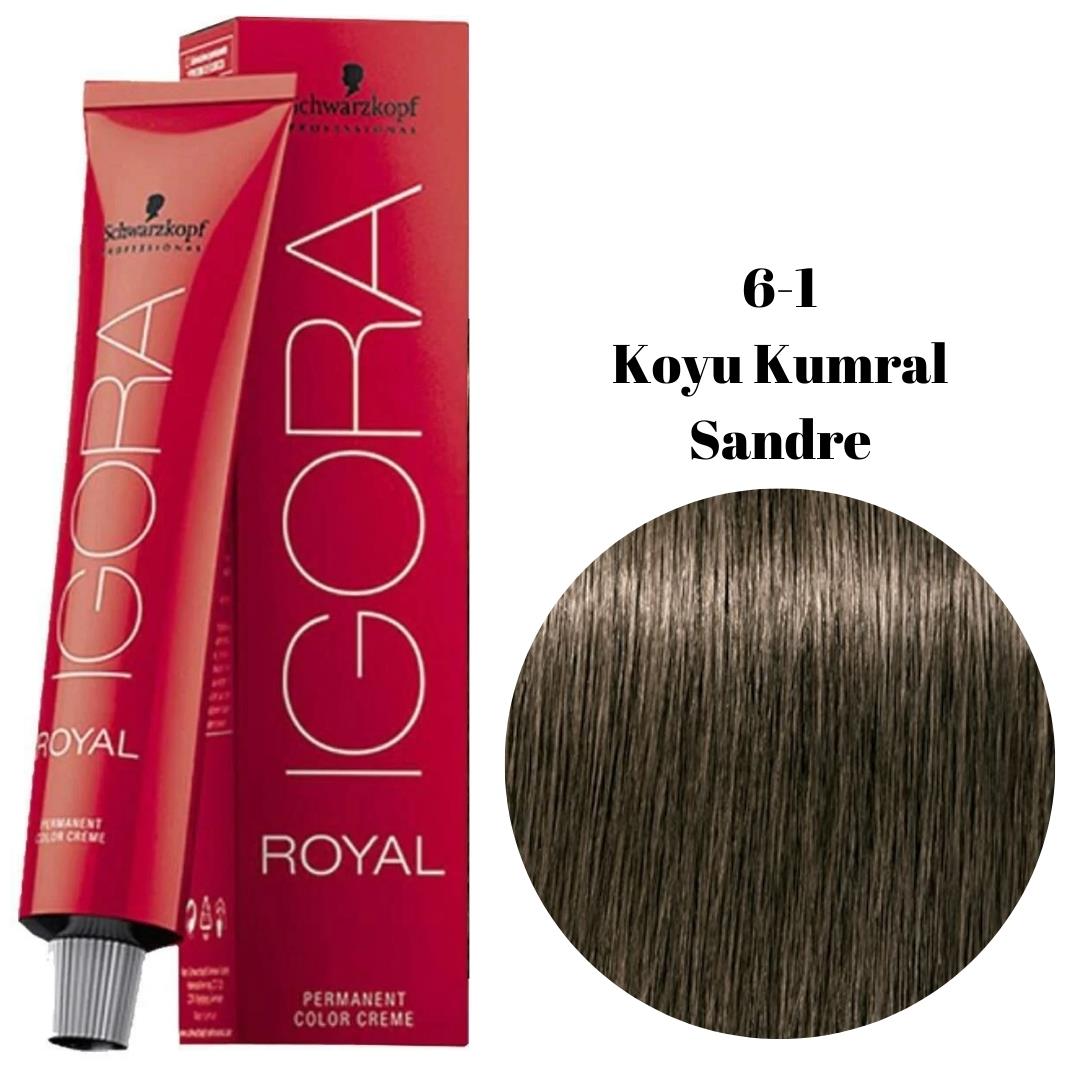 Igora Tüp Boya 6-1
