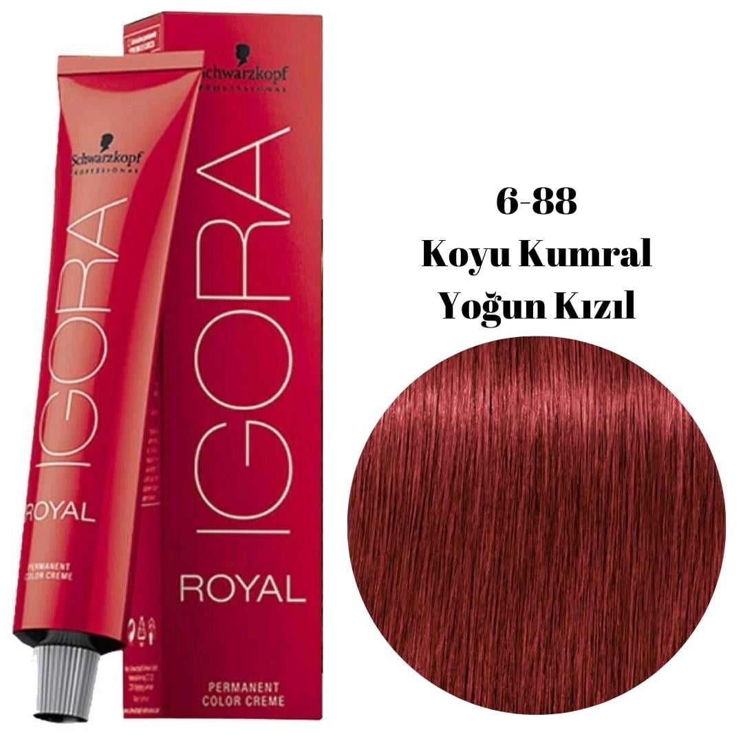 Igora Tüp Boya 6-88
