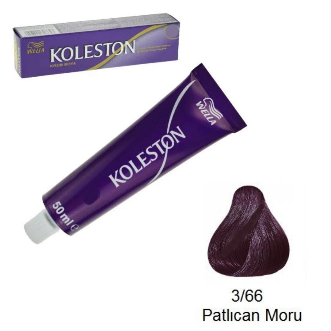 Koleston Tüp Boya 3-66