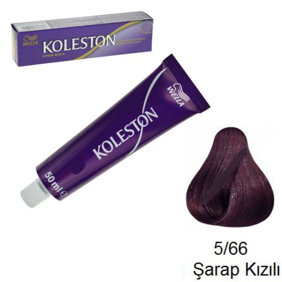 Koleston Tüp Boya 5-66