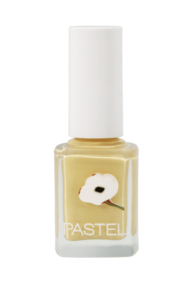 PASTEL OJE 411