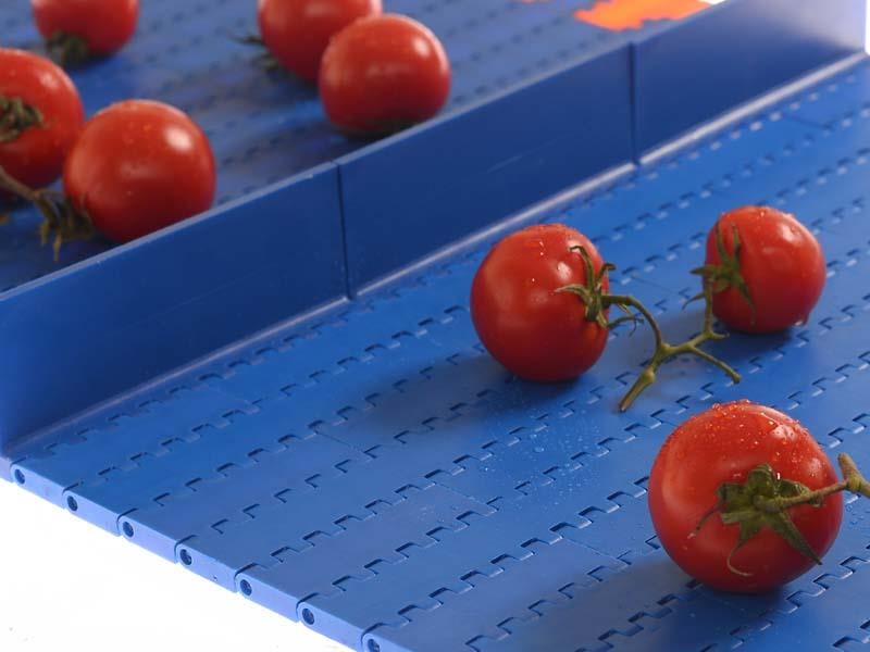 927- 25,4 KİLİTLİ DÜZ HASIR BANT