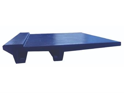 207 - RGC Model Yan dayama