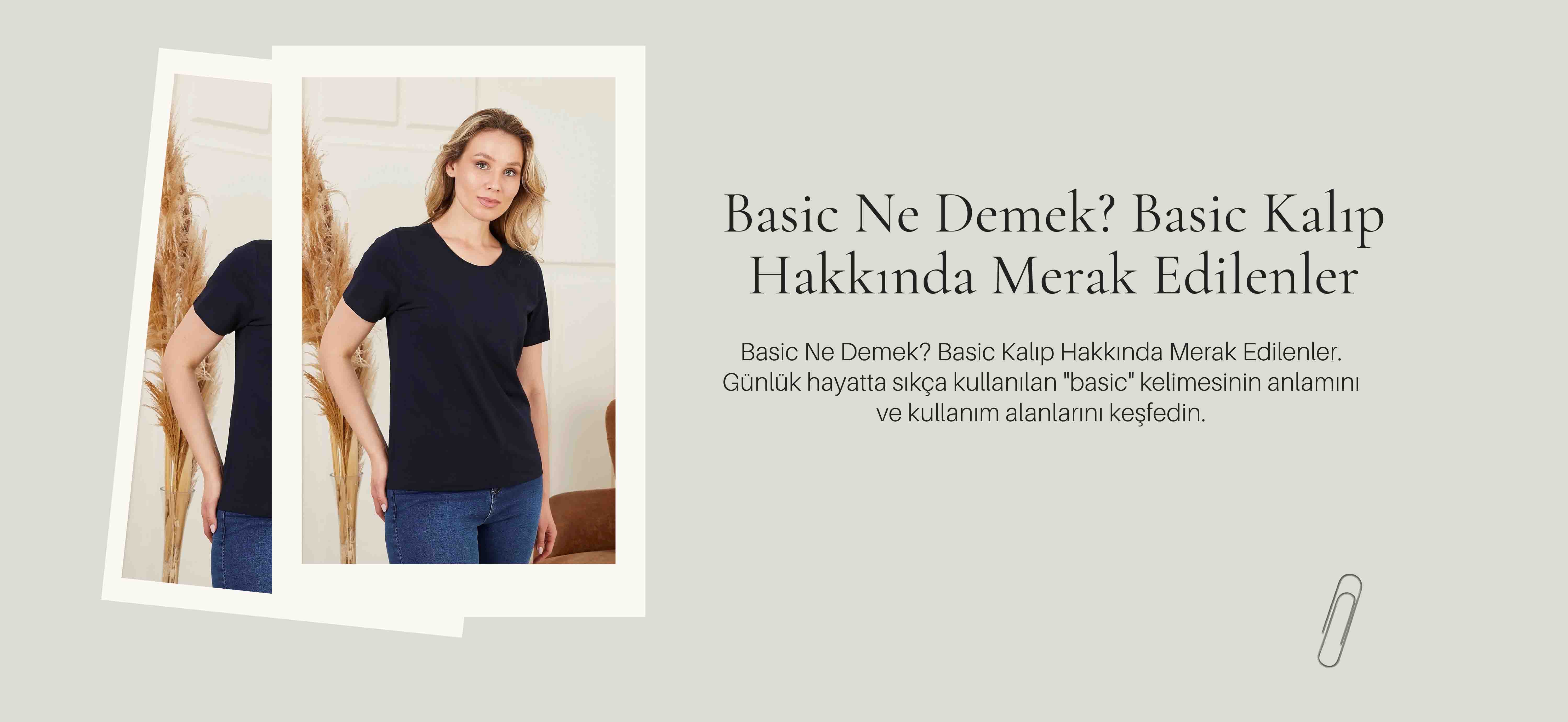 Basic Ne Demek