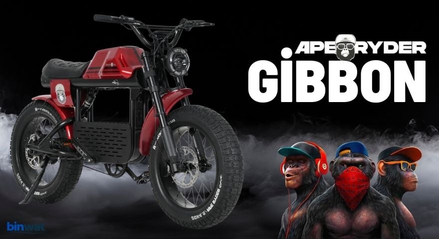 Ape Ryder Gibbon Elektrikli Bisiklet
