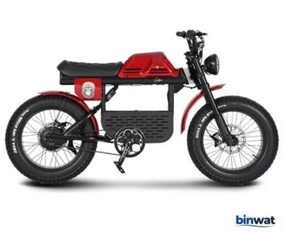 AFM E-BIKE internet satış sitemizde APE RYDER GİBBON 48V 250 Watt