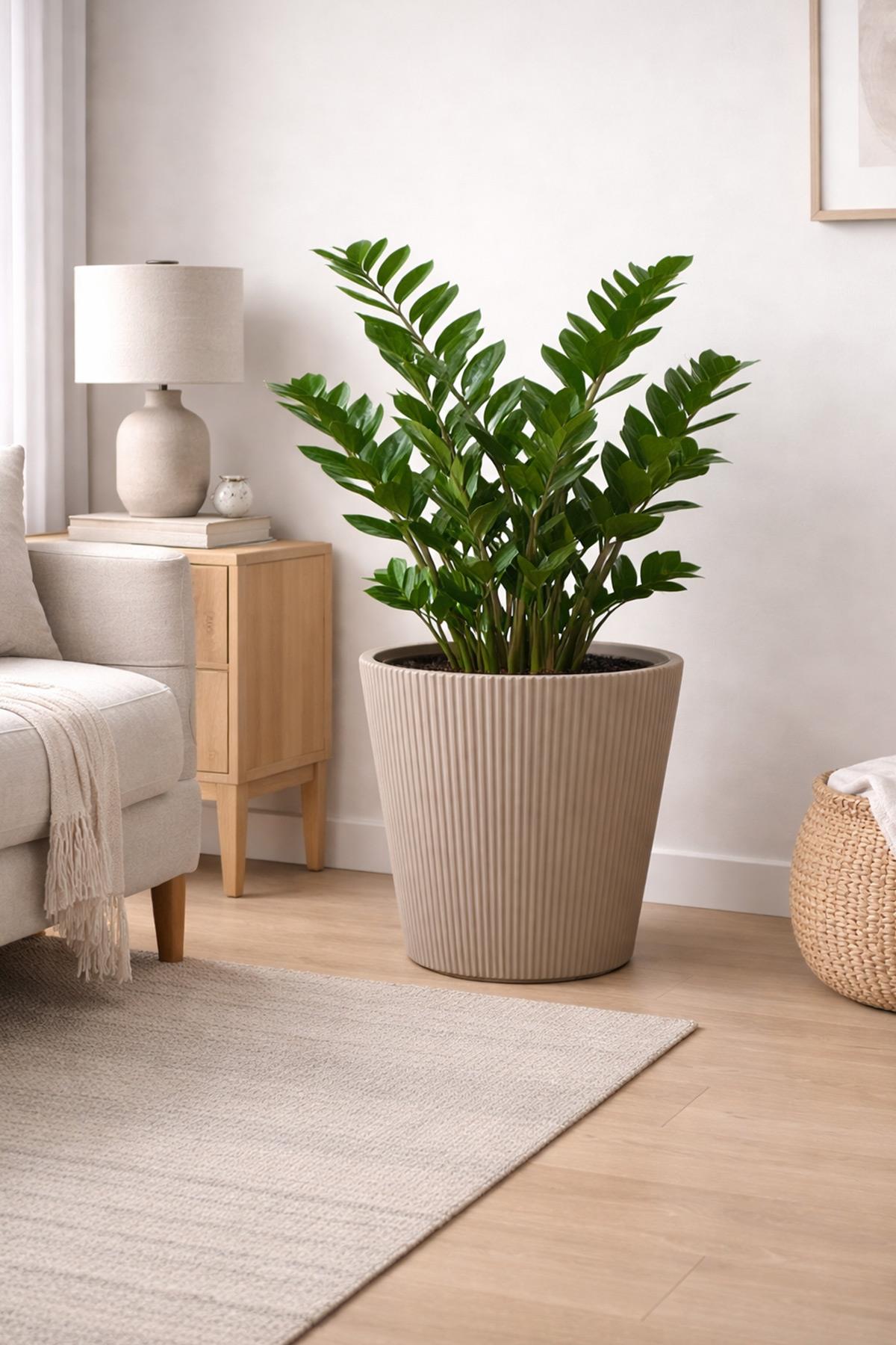 Alezy Luna Model Modern Saksı 29 lt (36.8cmx36.4cm)