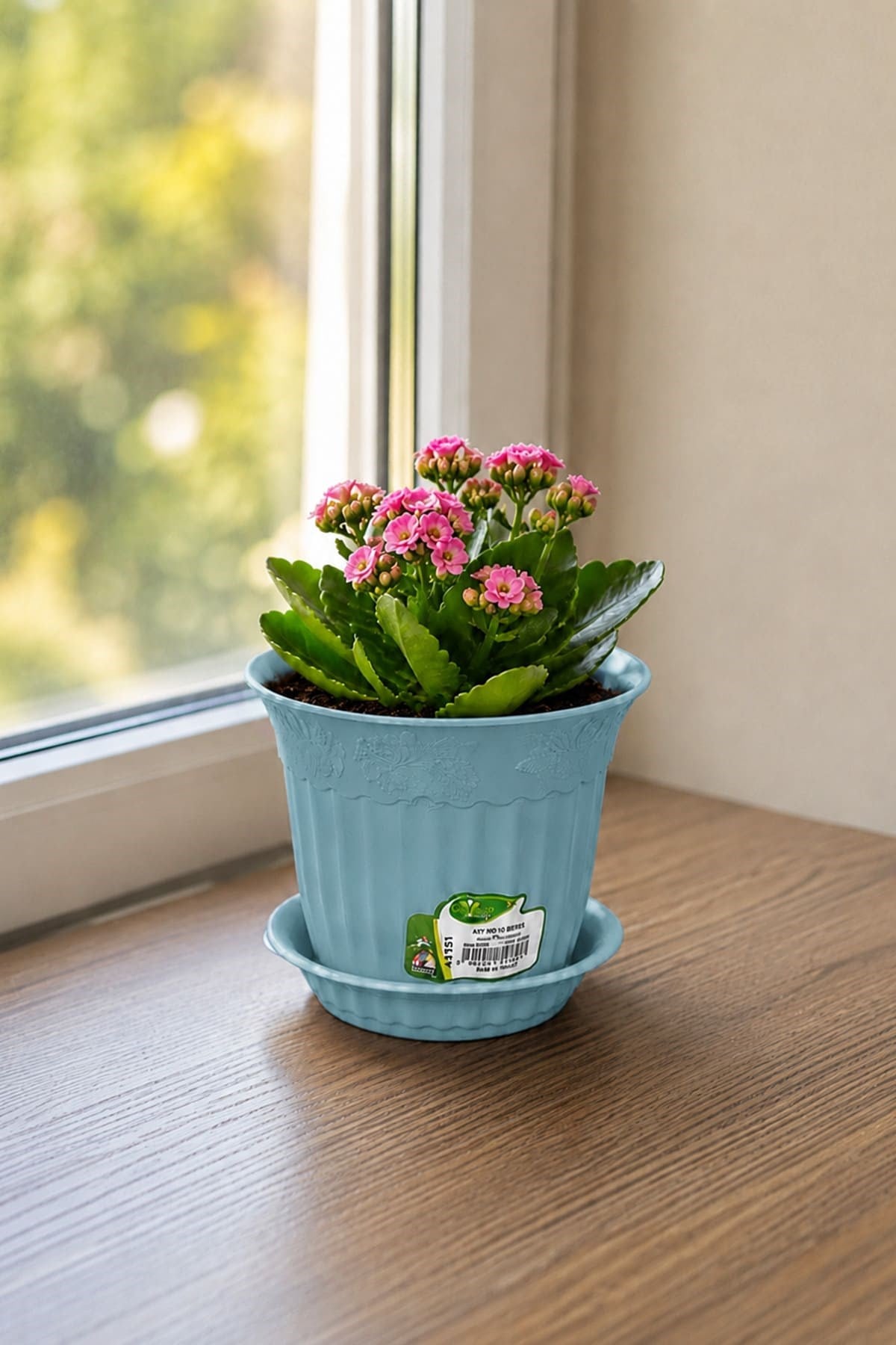 Irak Garden Flowers  AS151 Renkli Dekoratif Antik Saksı 1.1 Litre