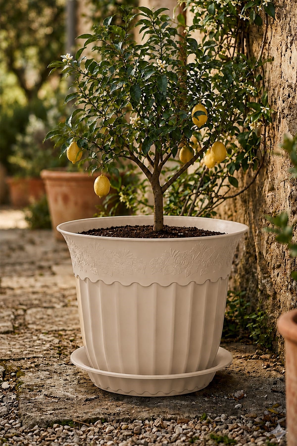 Irak Garden Flowers AS156 Renkli Dekoratif Antik Saksı 16.75 Litre