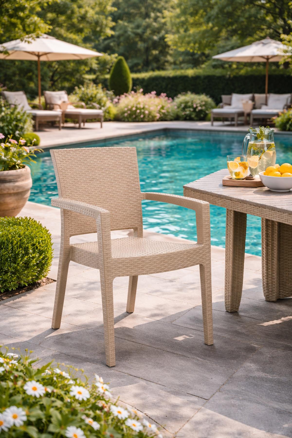 Novussi Paris Rattan Bahçe ve Balkon Sandalye Koltuk