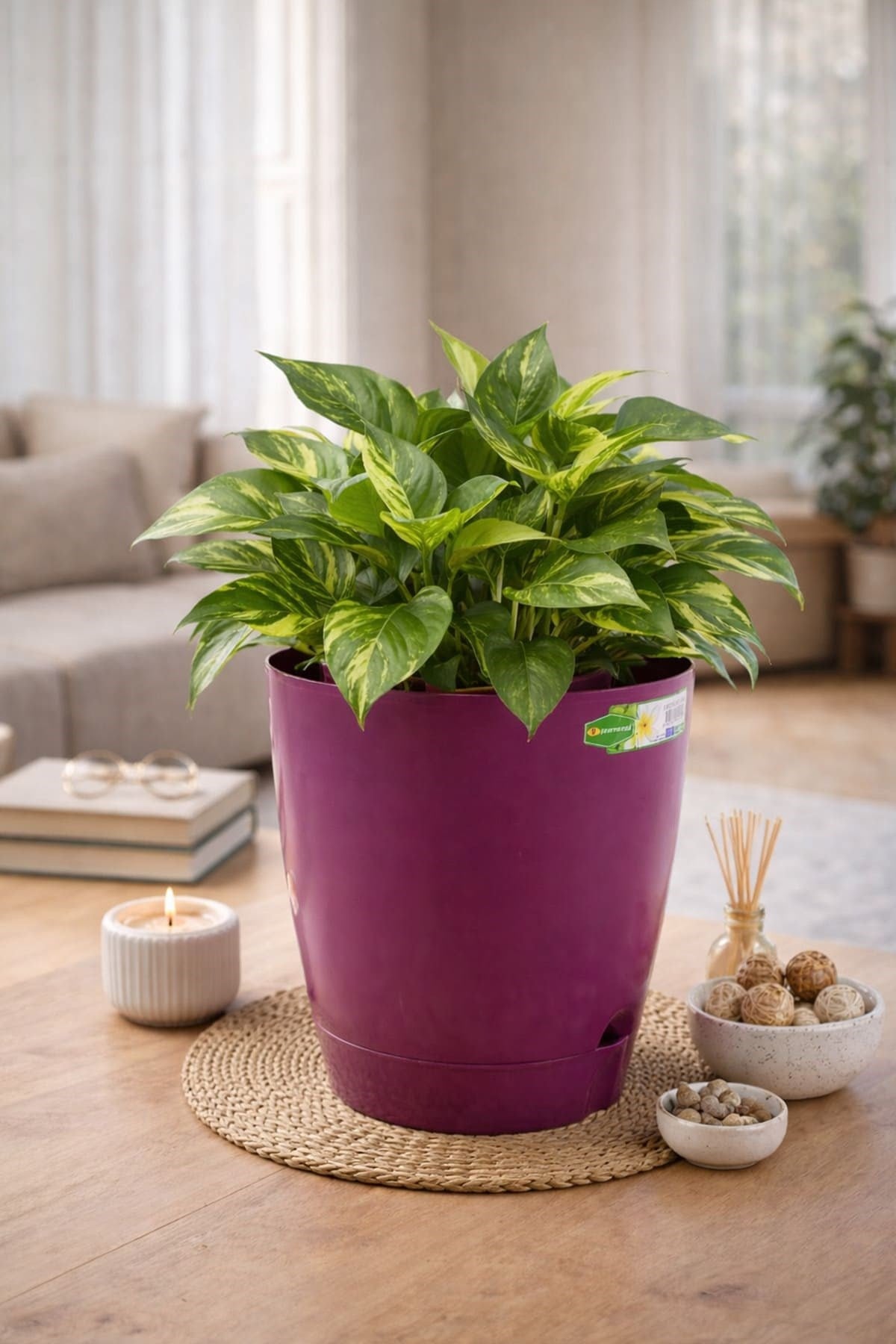 Şenyayla 5420 Decora Saksı No:4 - 6 Litre
