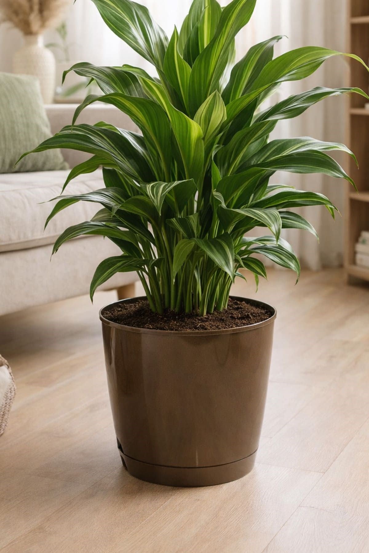 Şenyayla 5430 Decora Saksı No:6 - 15 Litre