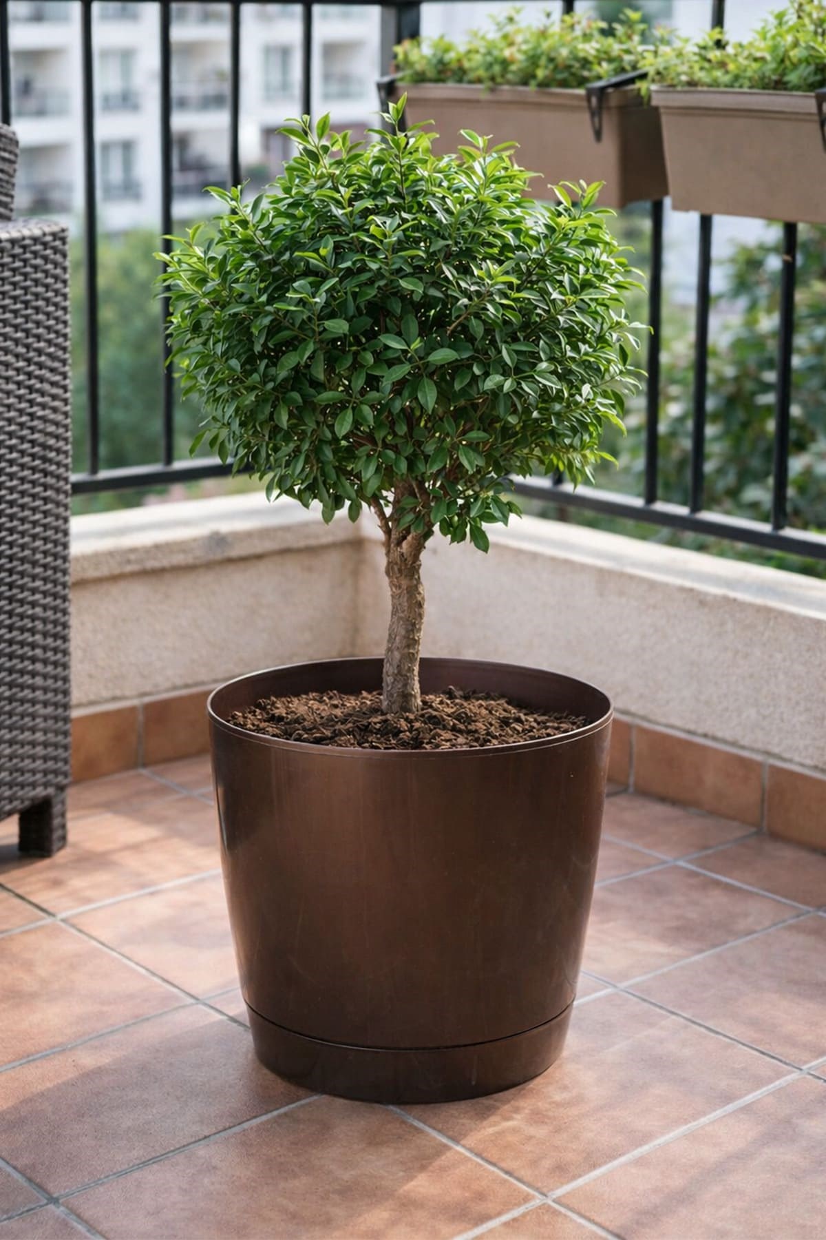 Şenyayla 5435 Decora Saksı No:7 - 21 Litre