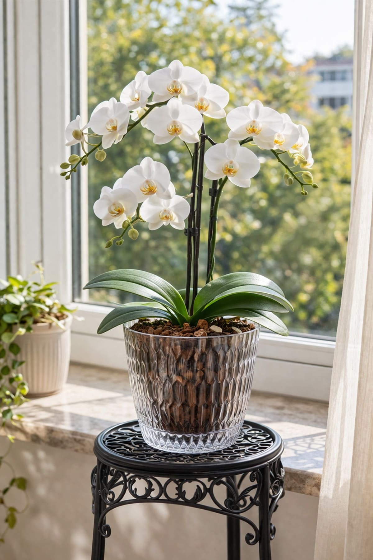 Şenyayla 5439 Şeffaf Brezza Desenli Saksı No:2 1,5 Litre