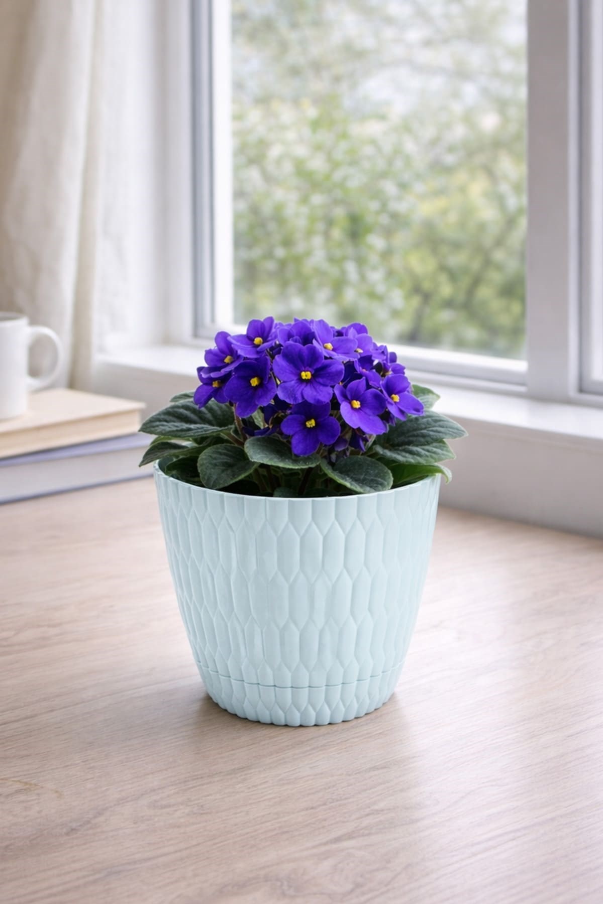 Şenyayla 5442 Desenli Dekoratif Çiçek ve Bitki Saksısı No:2 - 1.5 Litre
