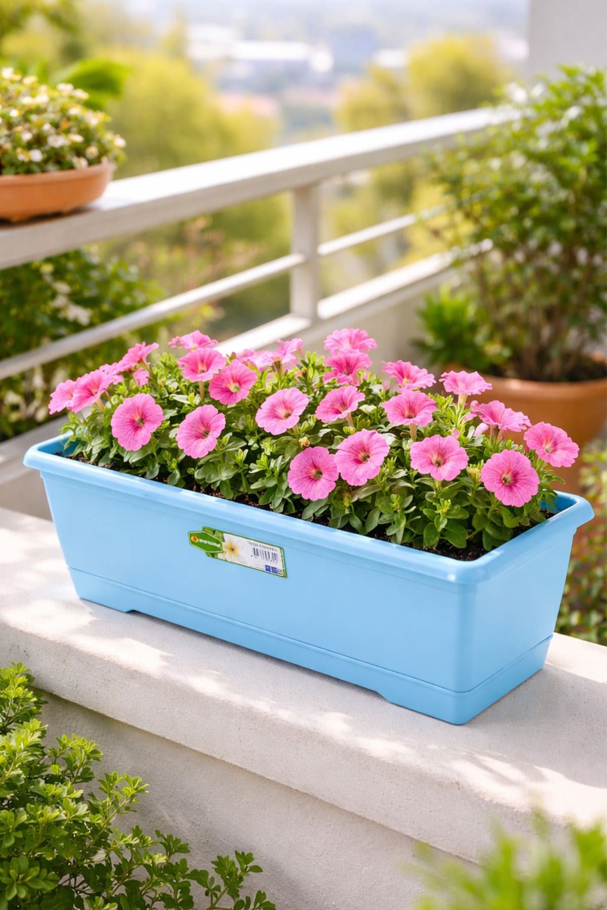 Şenyayla 5855 Göreme Balkon Çiçek ve Bitki Saksısı No:2 - 6 Litre