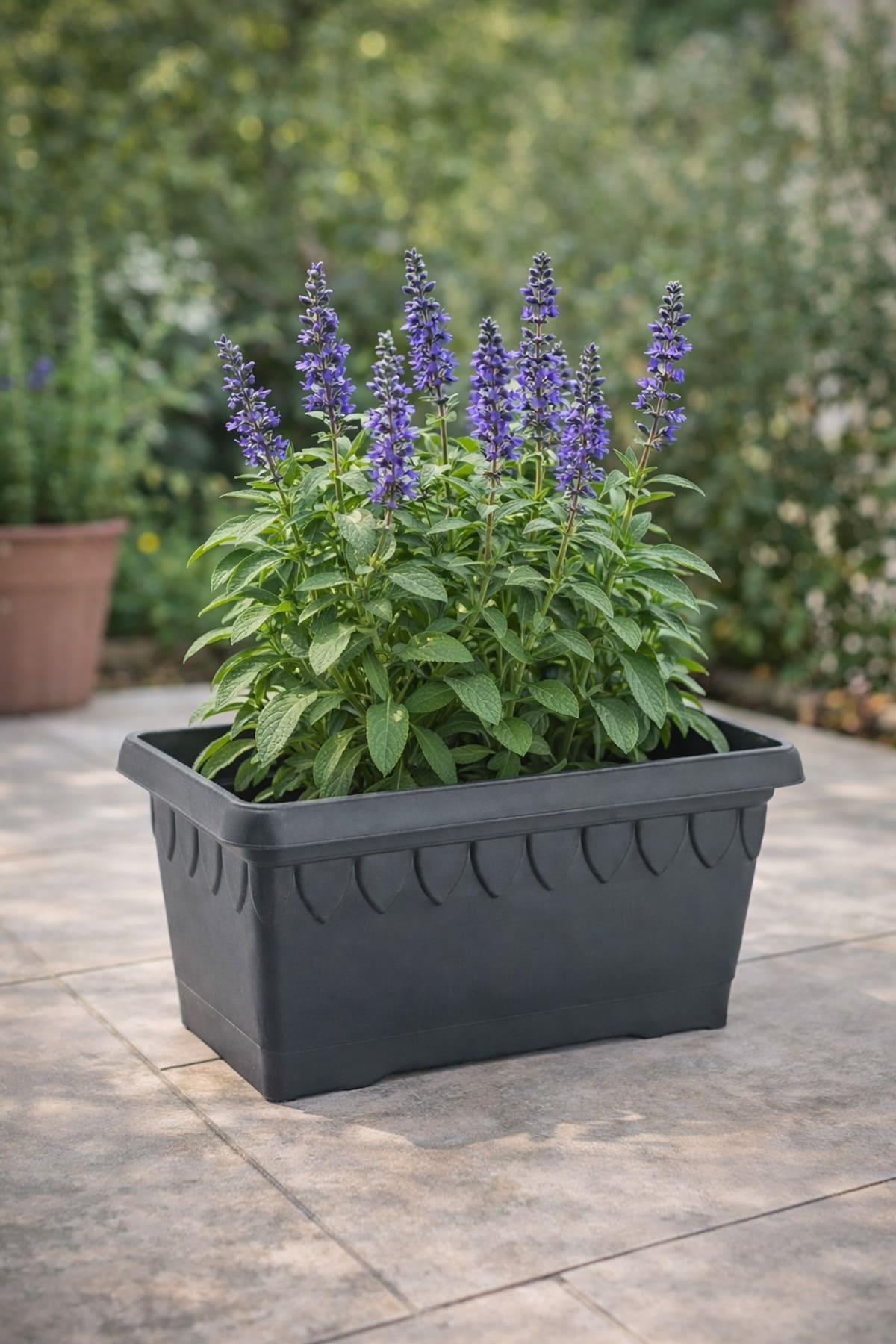 Serinova DB01 Damla Balkon Saksı 5.3 Litre