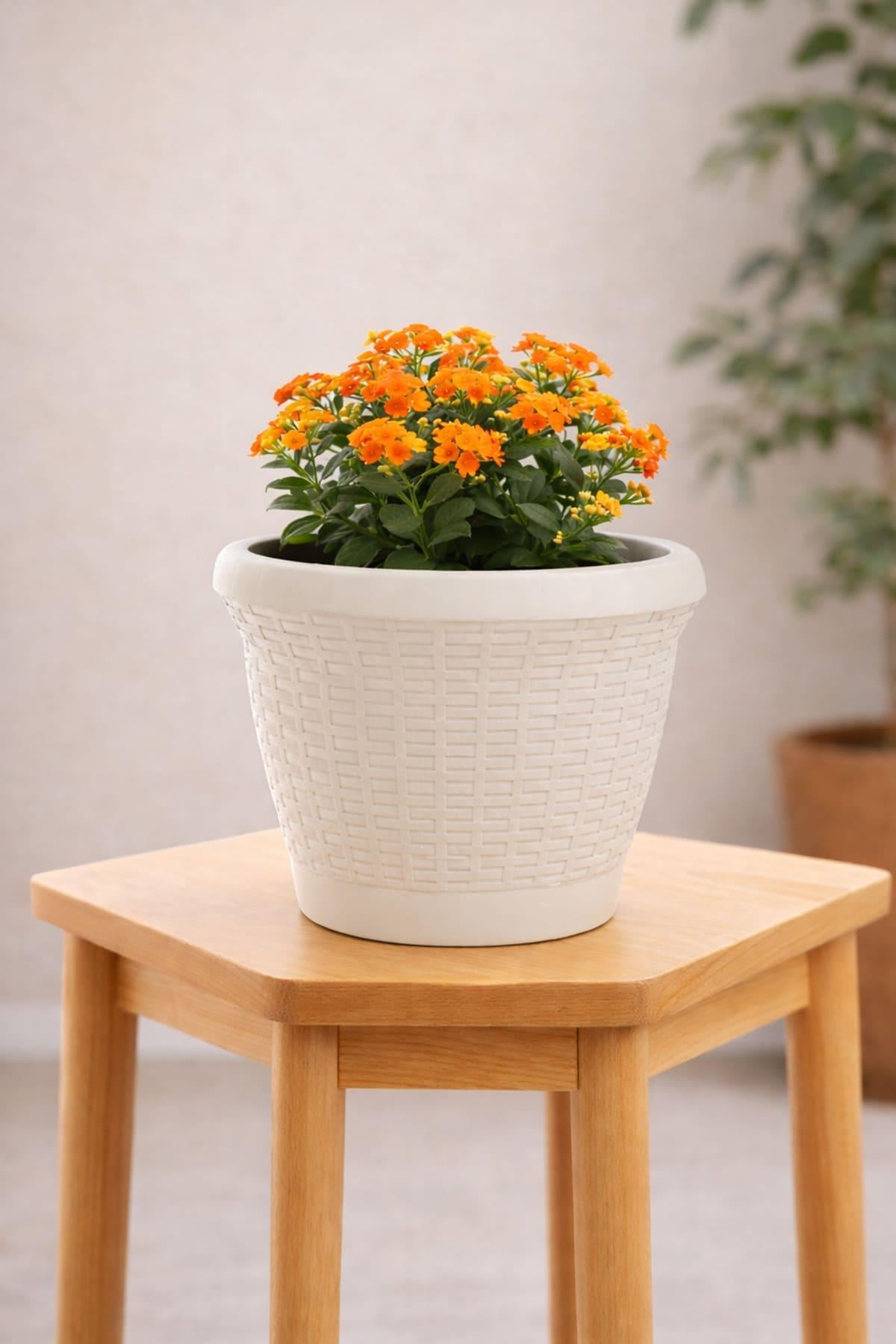 Serinova HS02 Hasır Saksı 6 Litre
