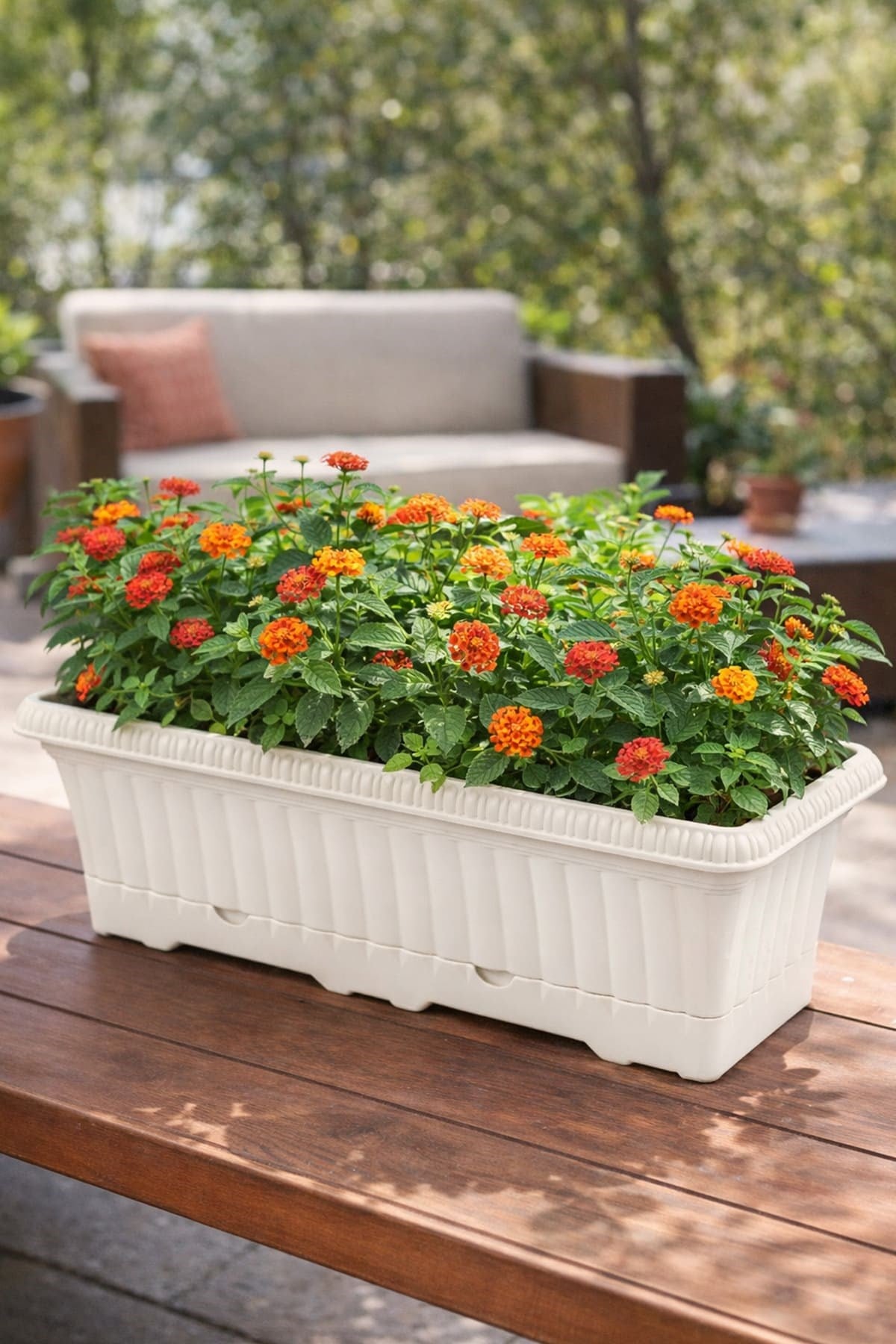 Serinova OB02 Ova Balkon Saksı No:2 - 5.7 Litre
