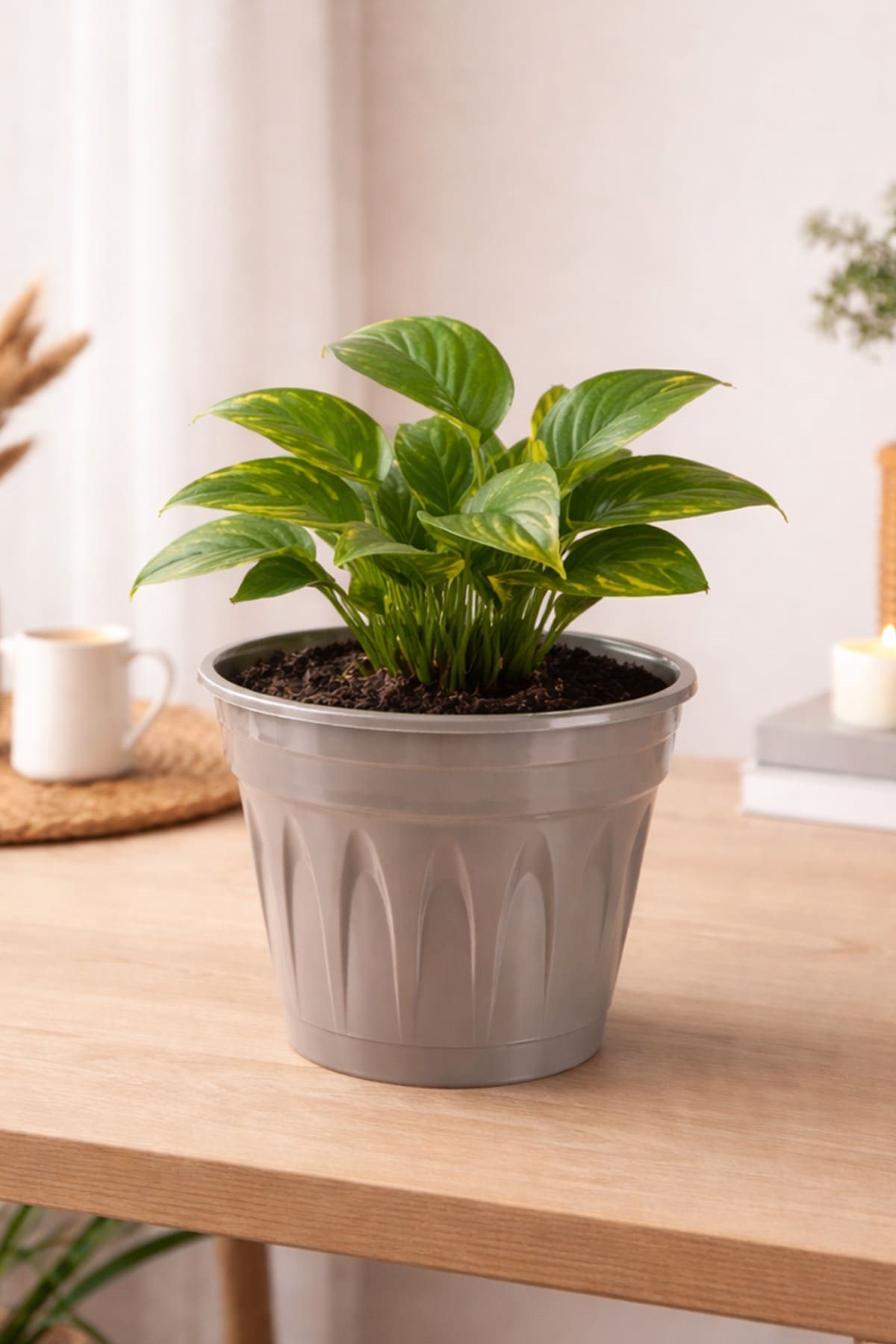 Serinova R004 Revak Saksı 2.2 Litre
