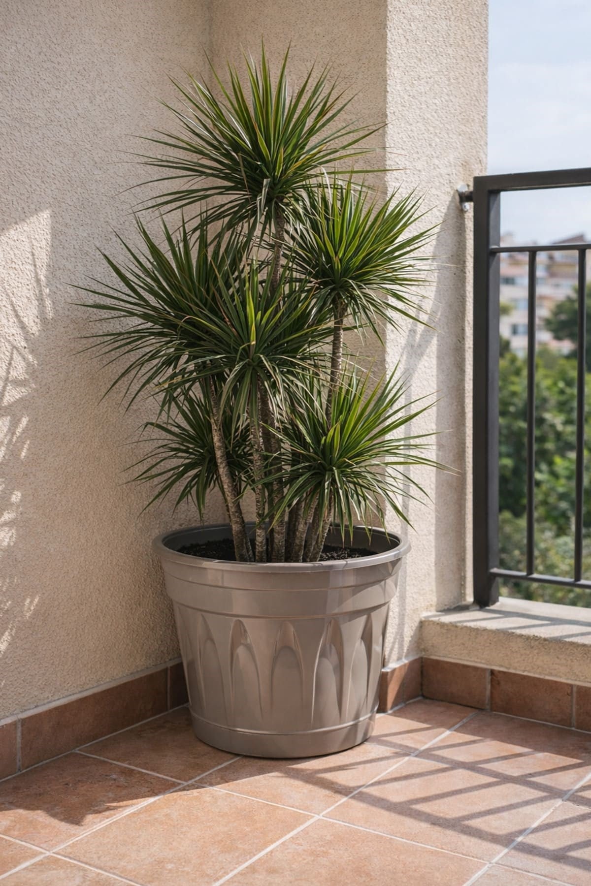 Serinova R008 Revak Saksı 11 Litre