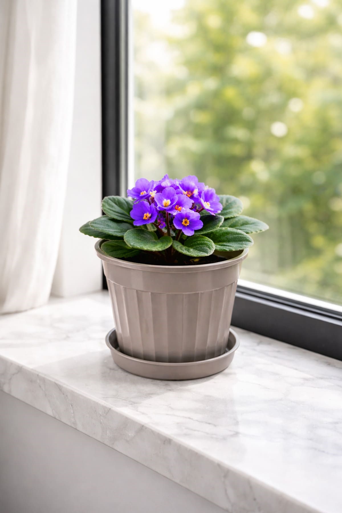 Serinova S205 Klasik Salon Çiçek ve Bitki Saksısı No:5 - 1.7 Litre