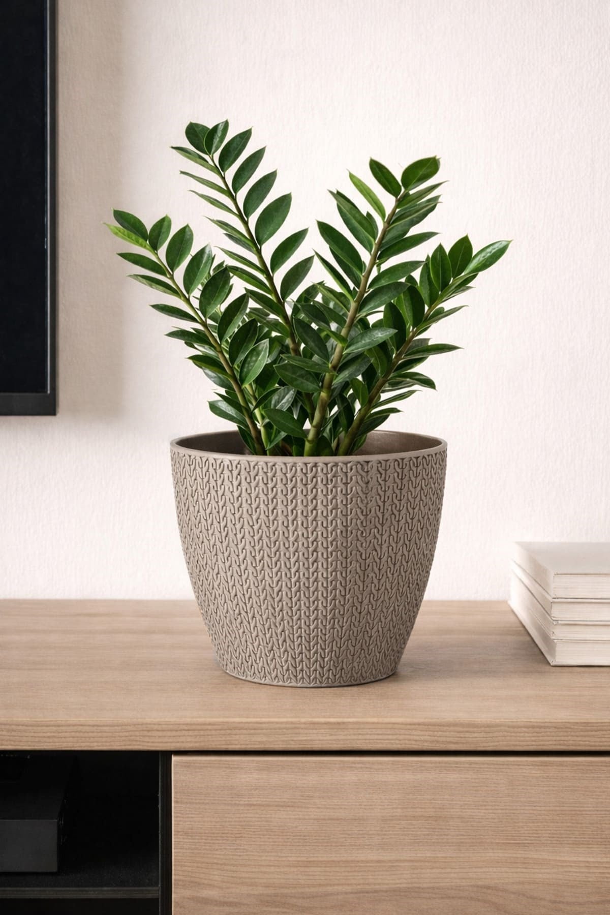 Serinova SML3 Sümela Saksı No:3 2,5 Litre