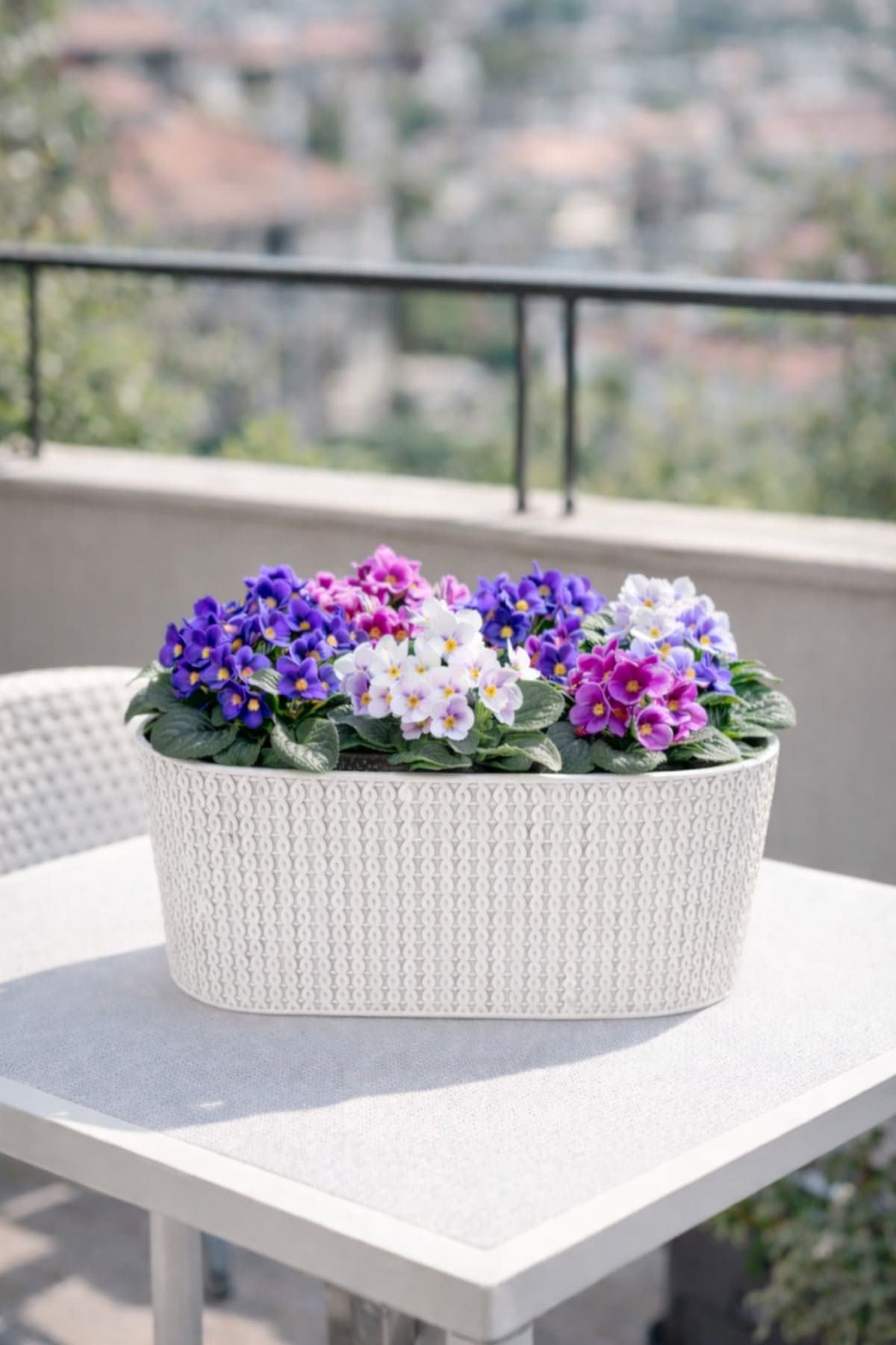 Serinova SMLB Sümela Balkon Çiçek ve Bitki Saksısı 4,7 Litre