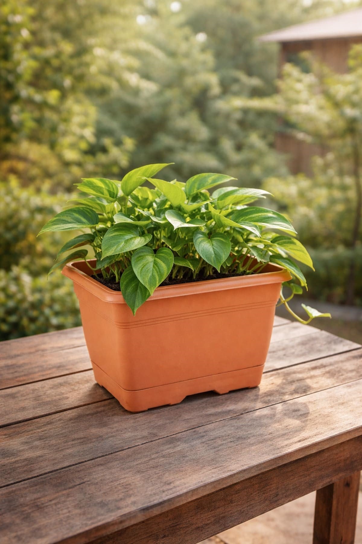 Serinova V600 Villa Balkon Saksı 2.75 Litre