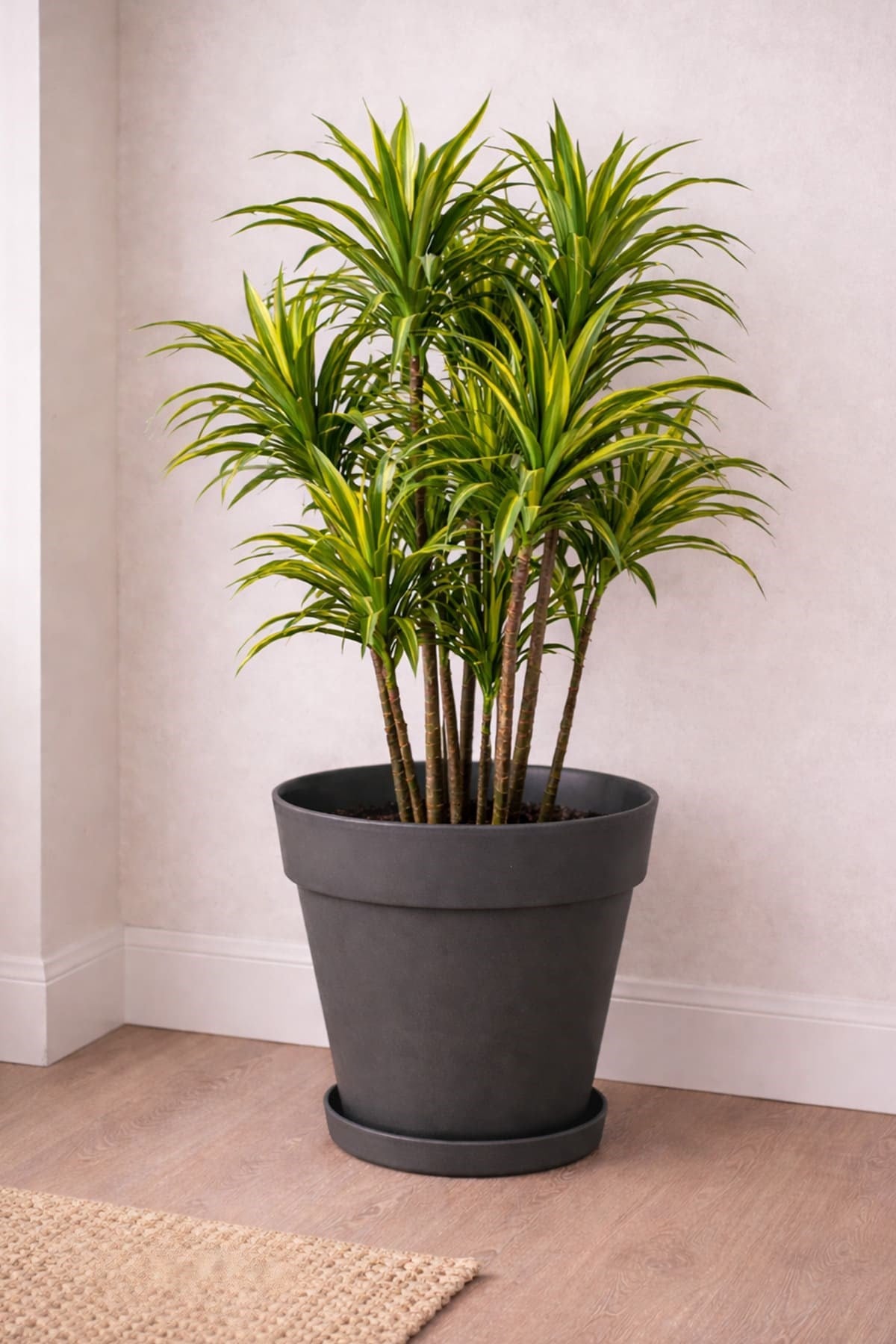 Serinova YS05 Yalı Saksı 10 Litre