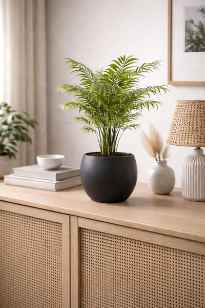 Alezy Küre Model Dekoratif Modern Saksı 7,5 lt