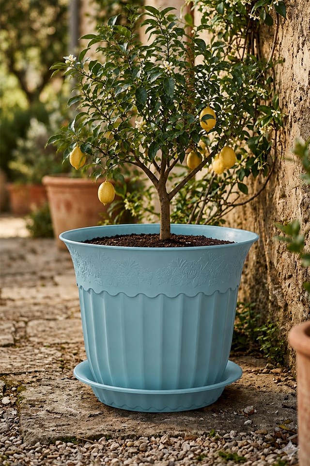 Irak Garden Flowers AS156 Renkli Dekoratif Antik Saksı 16.75 Litre