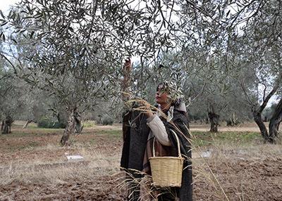 The Mill Zeytin
