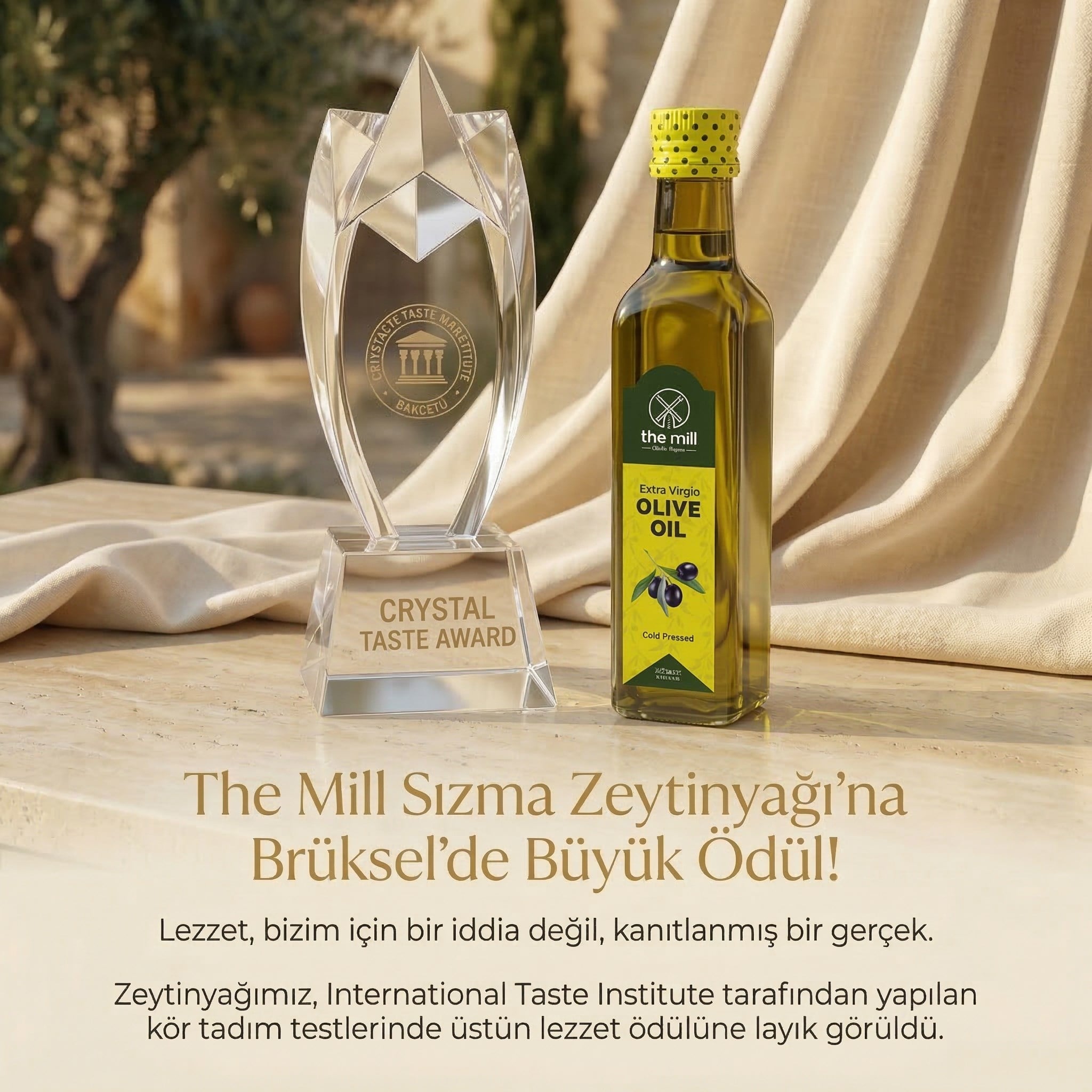 The Mill Natürel Sızma Soğuk Sıkım Zeytinyağı - 250 ml Cam Şişe