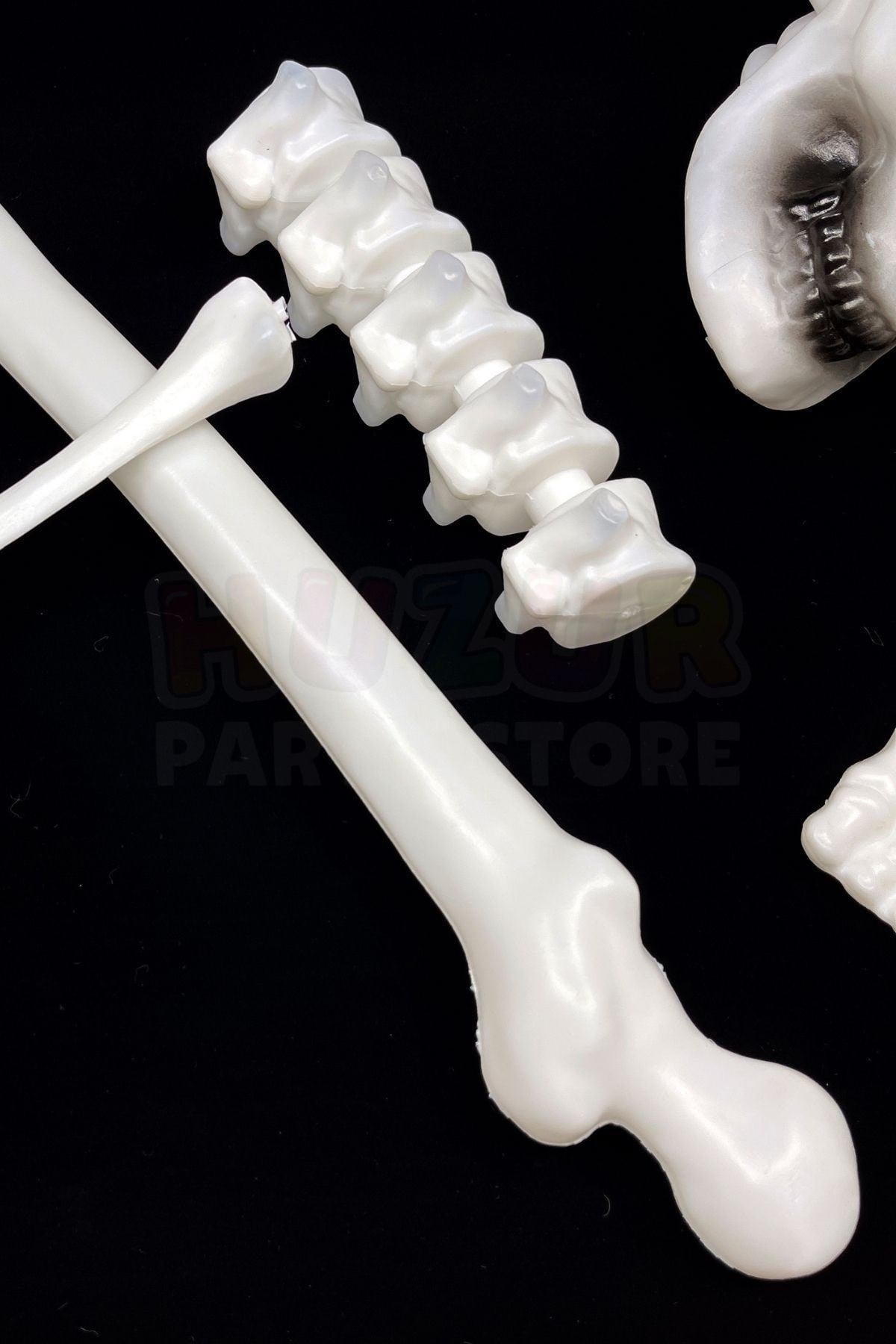 Beyaz Renkli Dekoratif Iskelet Seti Halloween Partisi Cadılar Bayramı Omurga Kafatası Ayak Kemiği