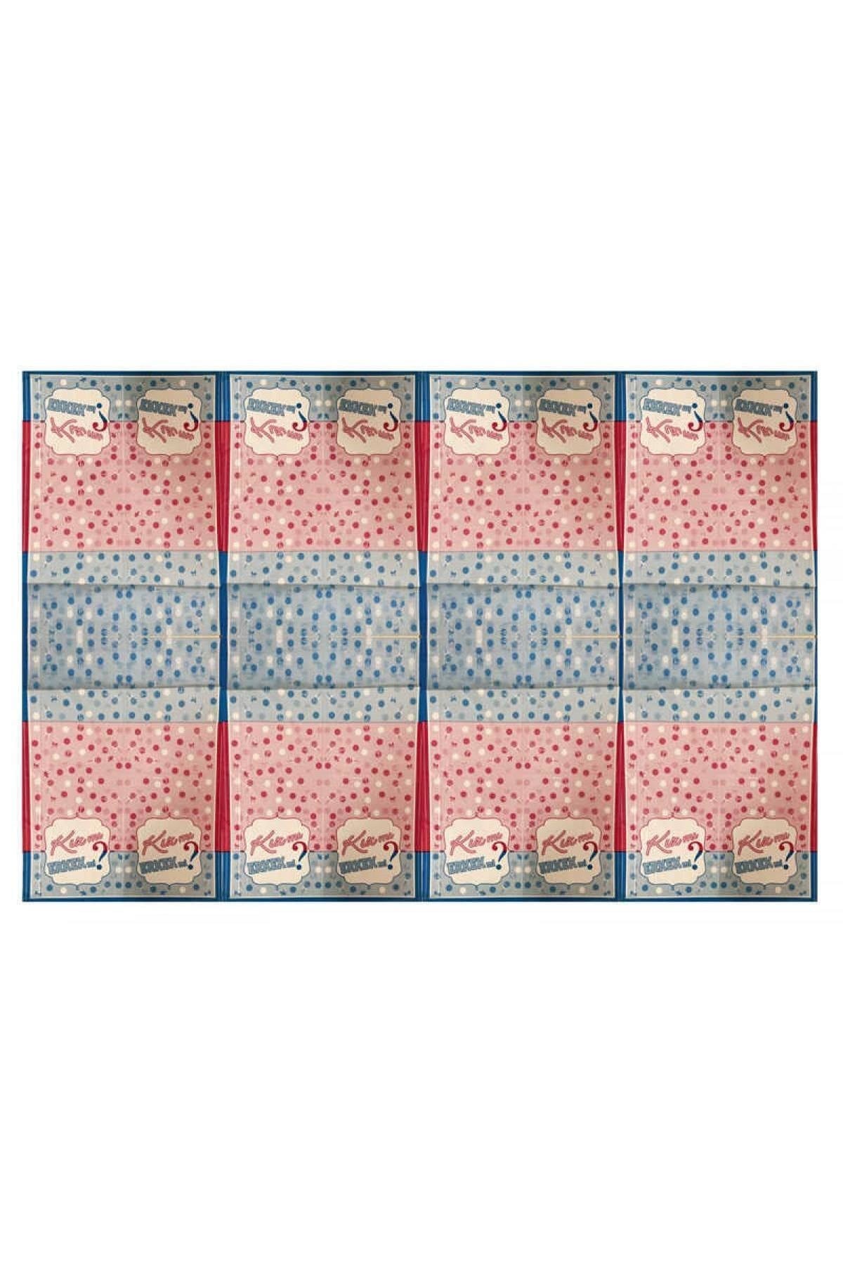 Cinsiyet Öğrenme Partisi Kız Mı Erkek Mi Boy Or Girl Gender Reveal 120x180 cm Plastik Masa Örtüsü