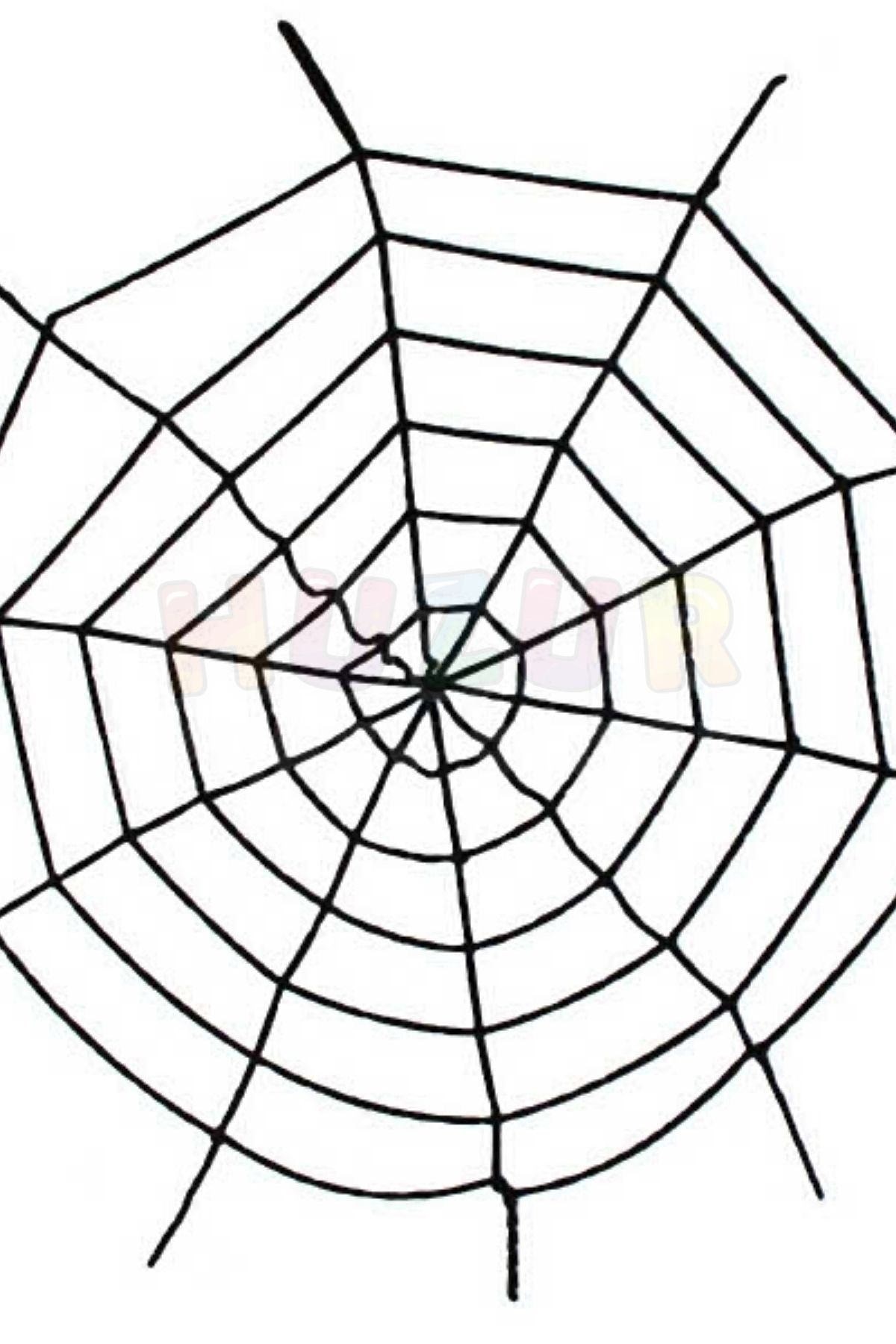 Siyah Örümcek Ağı 2.5 X 2.5 Metre Halloween Partisi Cadılar Bayramı Şaka Ürünü Mekan Süsleme Süsü