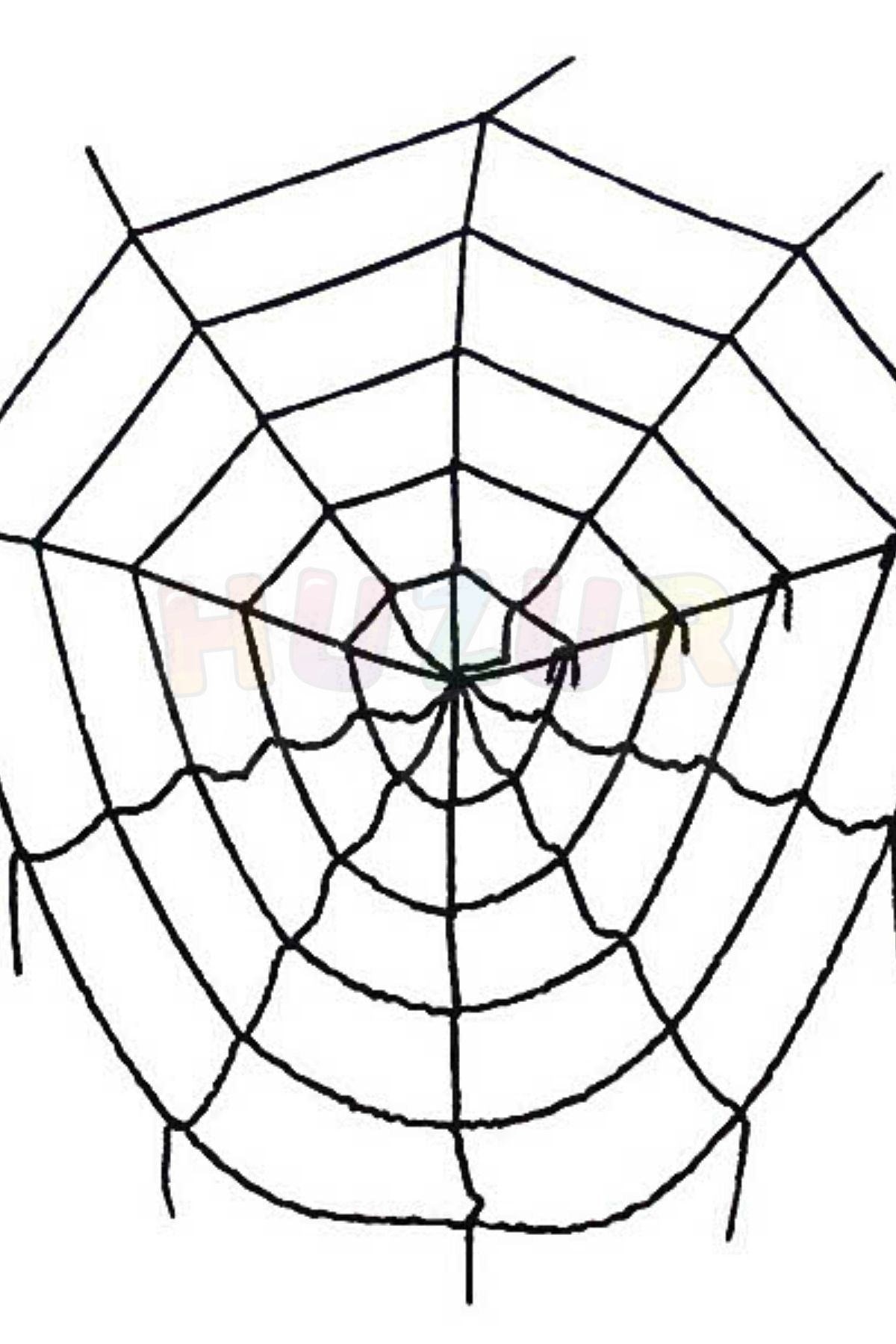 Siyah Örümcek Ağı 2.5 X 2.5 Metre Halloween Partisi Cadılar Bayramı Şaka Ürünü Mekan Süsleme Süsü