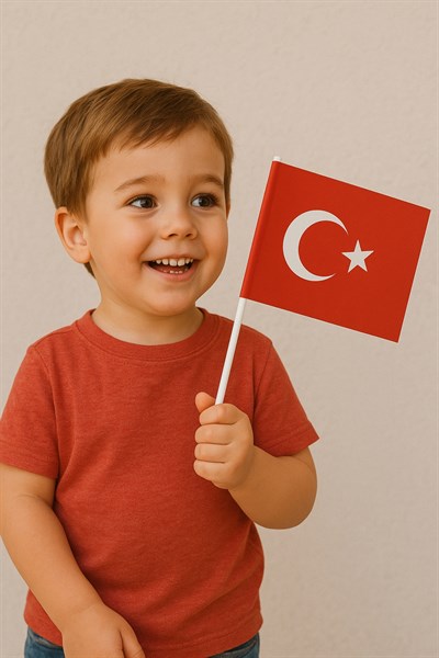 Küçük Boy 10 Adet Çubuklu Kağıt Türk Bayrağı Sopalı Saplı Ay Yıldız Baskılı Milli Bayrak 25x20 Cm