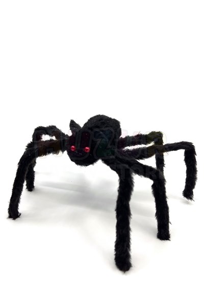 Siyah Renk Kırmızı Gözlü Örümcek Halloween Cadılar Bayramı Bacakları Tamamen Açıldığında 30 Cm