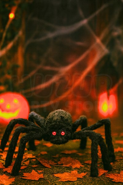 Siyah Renk Kırmızı Gözlü Örümcek Halloween Cadılar Bayramı Bacakları Tamamen Açıldığında 30 Cm